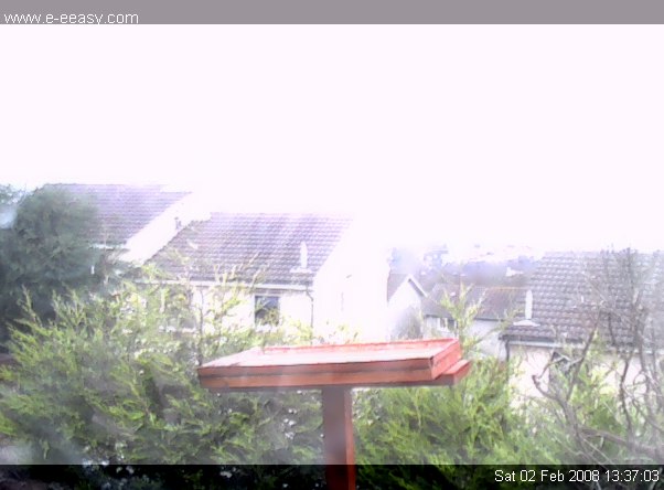UK Garden Webcam